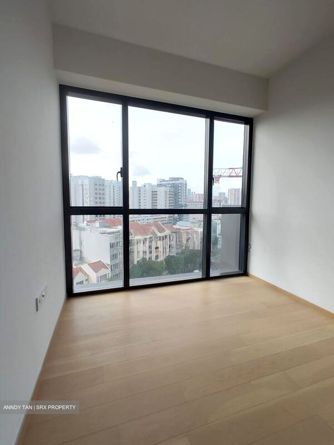Piccadilly Grand (D8), Apartment #519828711